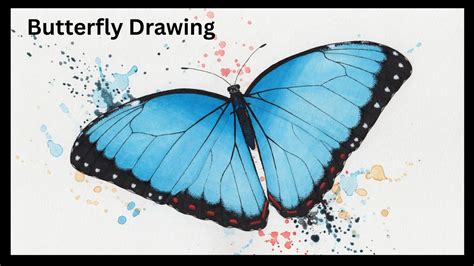 Butterfly Drawing Tools