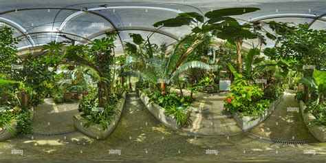 Butterfly House Collodi