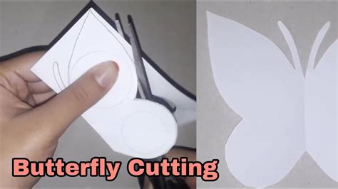 Butterfly Paper Cutting Step By Step