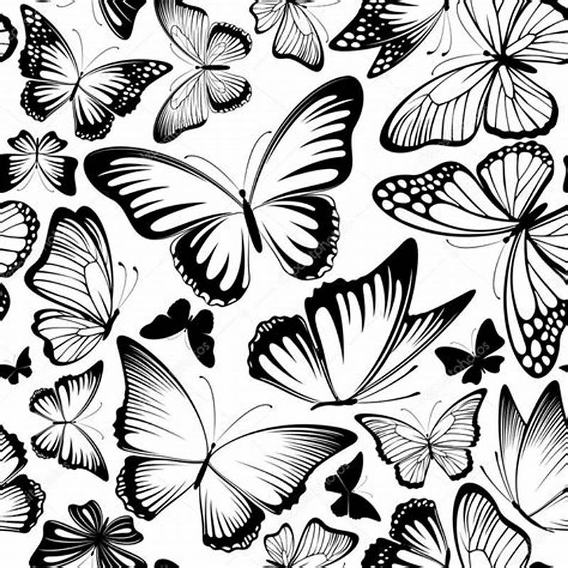 Butterfly Pattern Vector