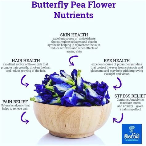 Unveiling the Enchanting Beauty Secrets of Butterfly Pea Flower: Discover its Amazing Benefits for Glowing Skin