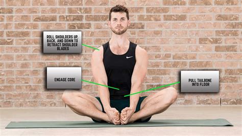 Butterfly Pose Muscles Stretched