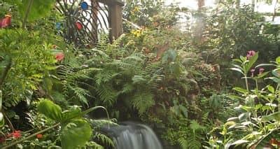 Butterfly Rainforest Tickets