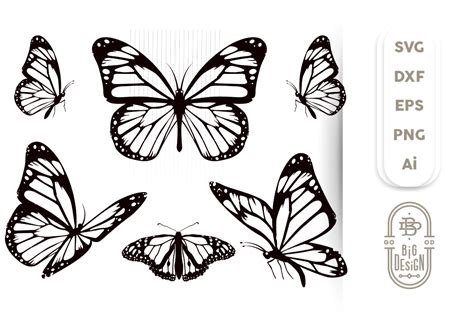 Download Butterfly Silhouette Bundle - SVG Files Commercial Use DXF Files