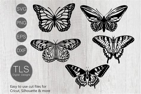 Download Butterfly Svg Cut File Commercial Use for Cricut