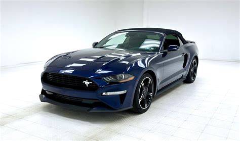 Buy Mustang 5 0
