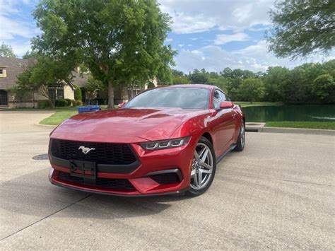 Buy Mustang Usa
