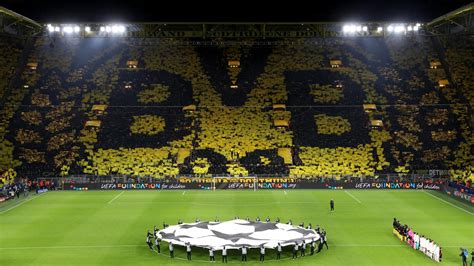 Bvb Bilder