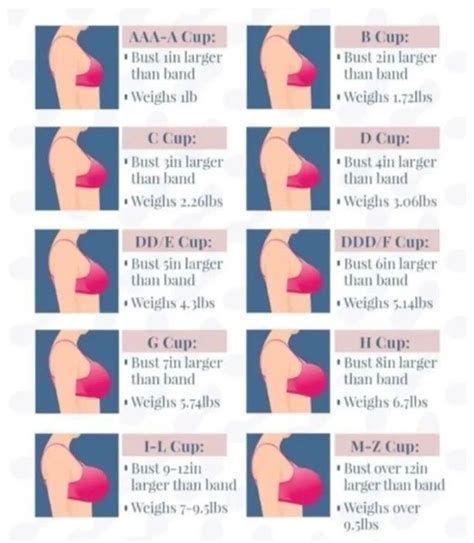 C Cup Size Chart