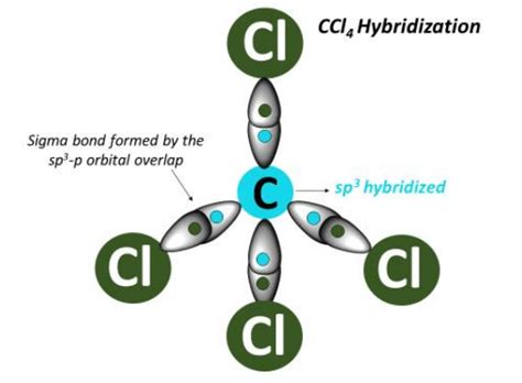 CCl4 Hybridization