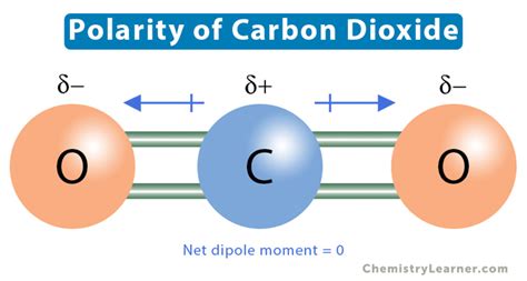 CO2 Polarity