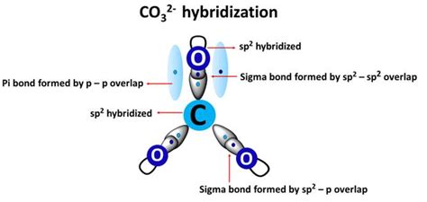 CO32- Hybridization