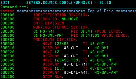 COBOL Code Example