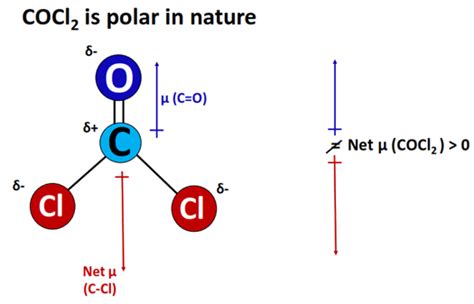 COCl2 Polarity