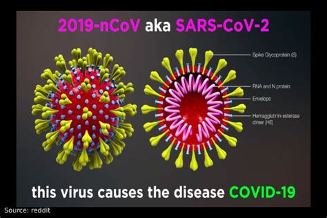 COVID-19 vs. SARS & MERS: Key Differences