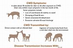 CWD Deer Symptoms