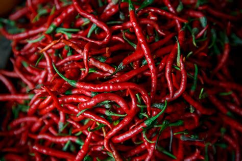 Cabe Merah bisa untuk mengobati sakit