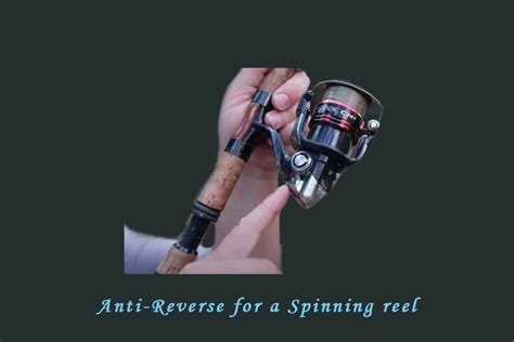 Cabela's Fishing Reels Anti-Reverse Mechanisms