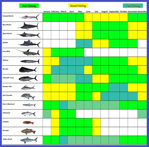 Cabo Fishing Calendar