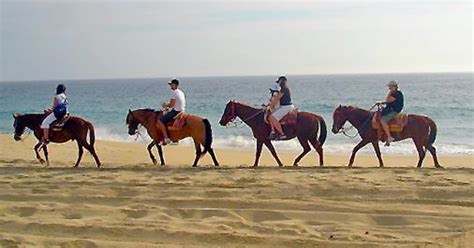 Cabo Sunset Horseback Riding