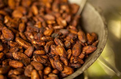 Cacao Beans Colombia