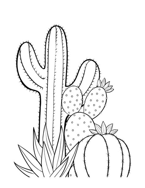 Cactus Coloring Pages