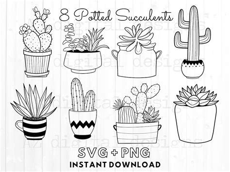 Download Cactus Pots Bundle Commercial Use