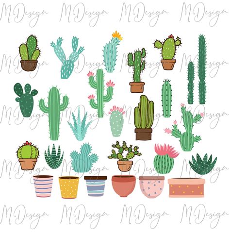 Download Cactus Pots Bundle Easy Edite
