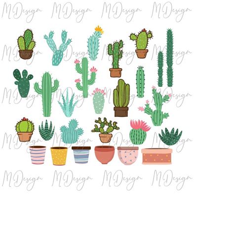 Download Cactus Pots Bundle Files