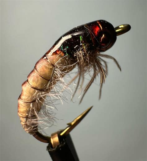 Caddis Nymph Patterns