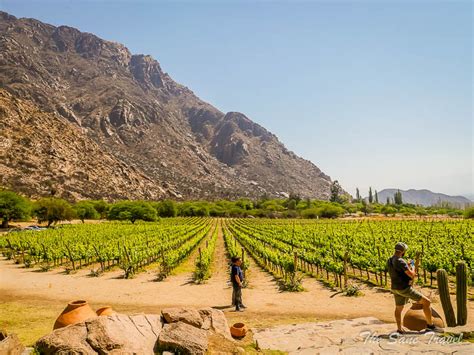 Cafayate vineyards