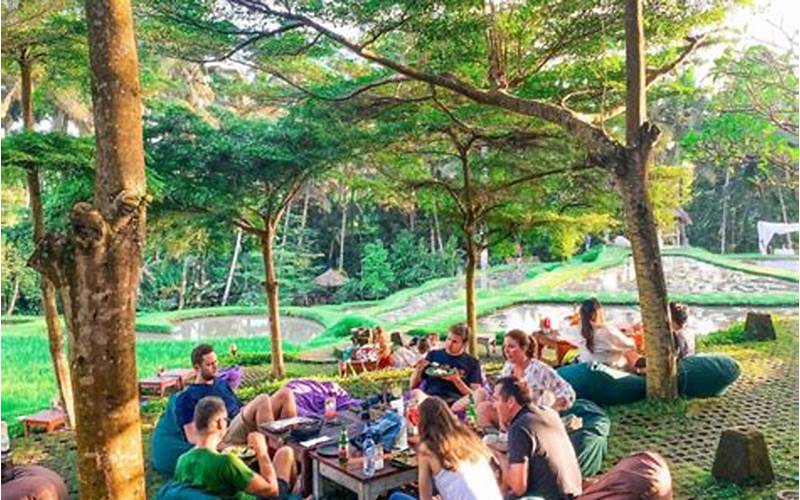Cafe Murah Di Ubud: Nikmati Kudapan Lezat Tanpa Khawatir Kehabisan Uang