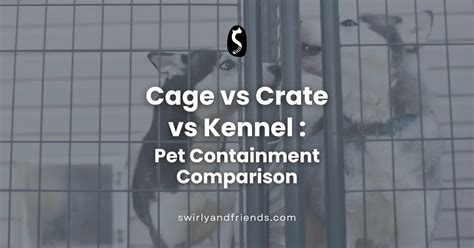 Cage-Free vs. Crate Boarding Options