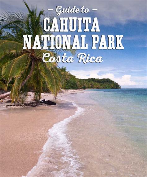 Cahuita National Park Guide Pointing