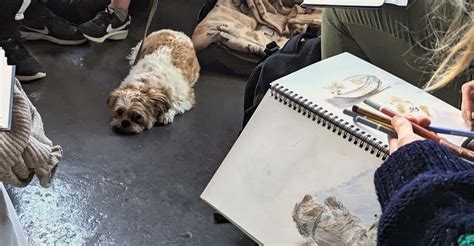 Cai Burton Dog Life Drawing