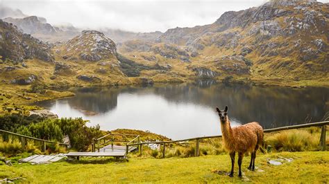 Cajas National Park Tour Guide