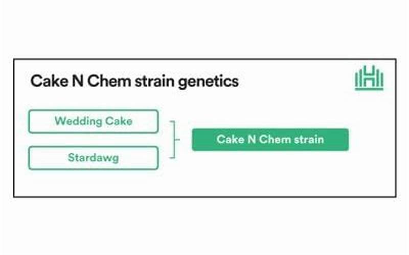 Cake N Chem Strain Genetics