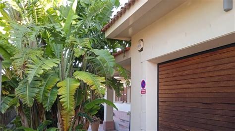 Cala Millor Millionaire’s Villa Escape Room: An Expert Review