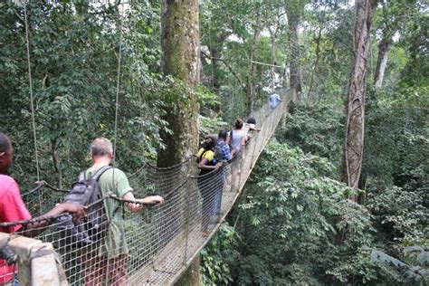 Calabar City Tour: Your Guide and Honest Review