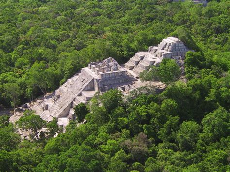Calakmul view