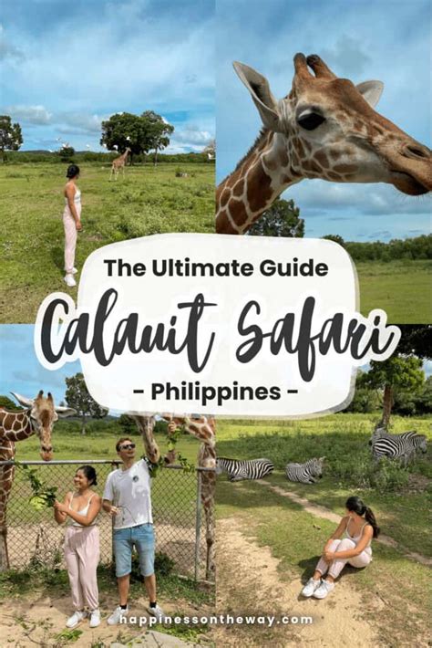 Calauit Safari guide