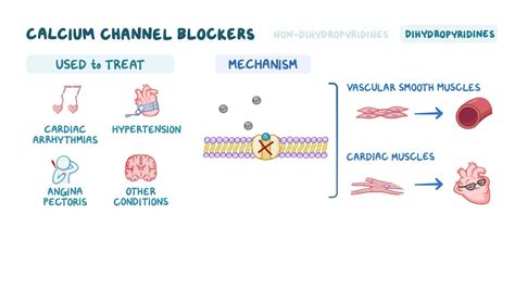 Calcium Channel Blockers and Diuretics