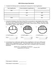 Calculating Field Of View Microscope Worksheet