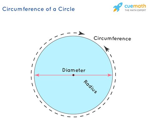 Calculating the Circumference and Ride Length