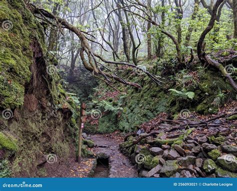 Caldeirao Verde Trail Landscape