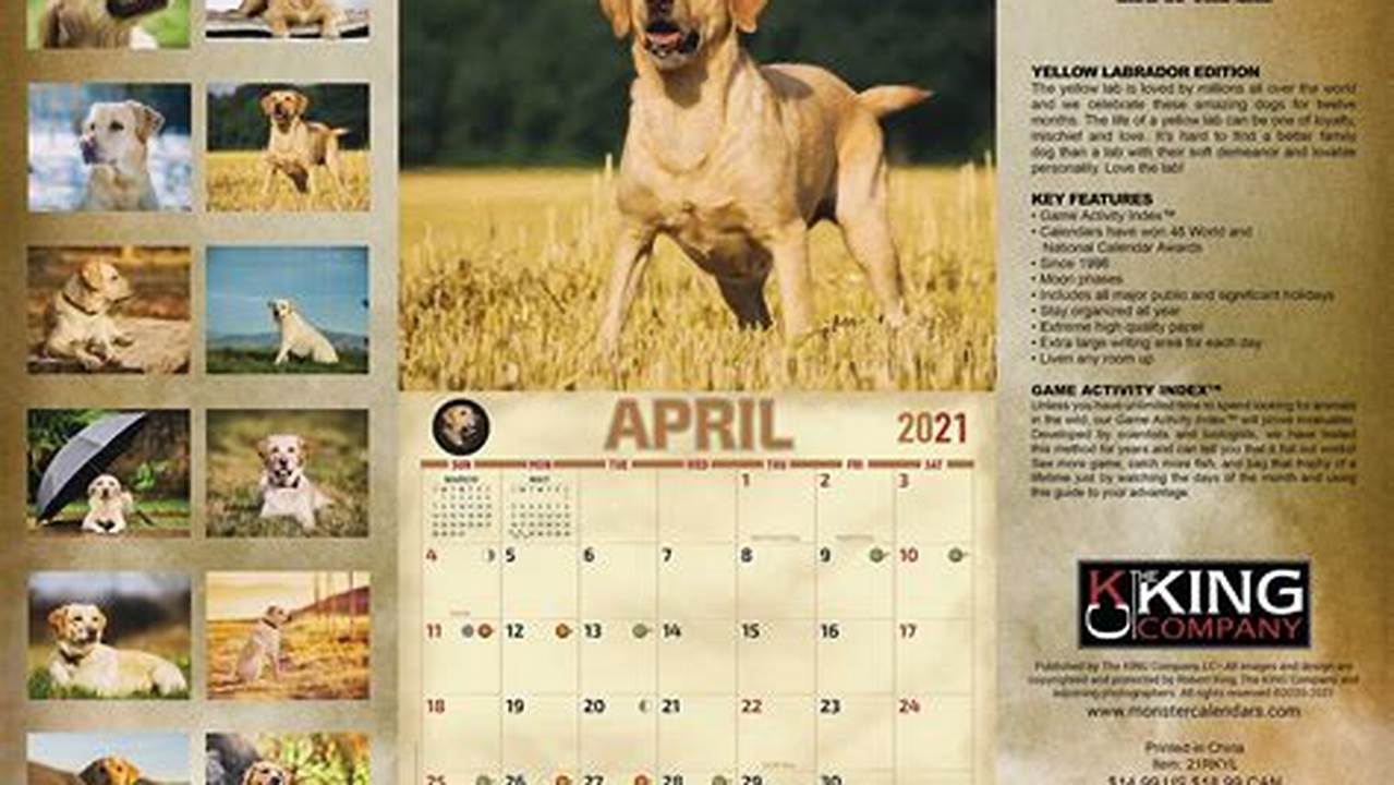 Calendar For Dogs