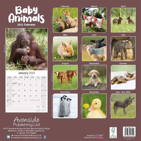 Calendar With Animals