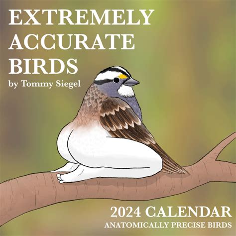 Calendar Of Extremely Accurate Birds