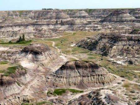 Calgary Canadian Badlands Geology Trip Review: A Stone’s Throw