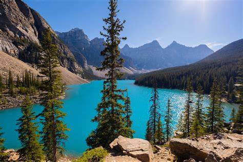 Calgary to Banff Day Trip